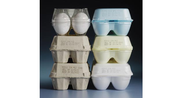 Egg Industry 
